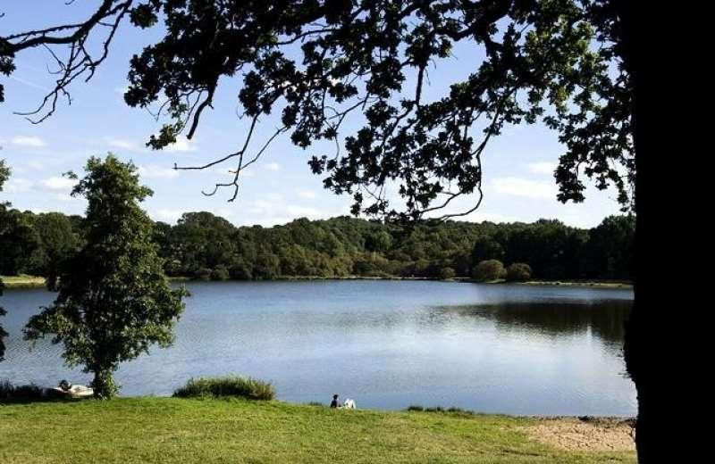罗仕弗尔恩特雷 Terres De France - Le Domaine Du Moulin Neuf酒店 外观 照片